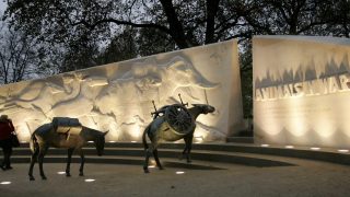 Animals-in-War