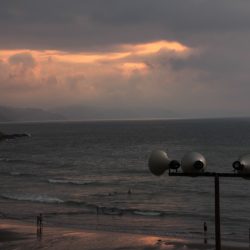 IMG_4503